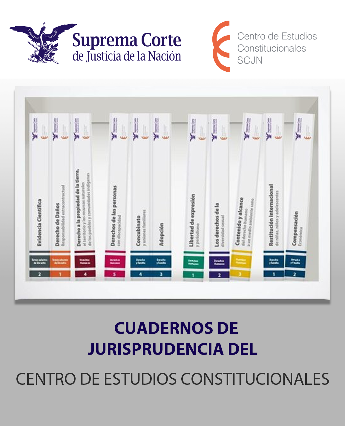 Cuadernos de Jurisprudencia del Centro deEstudios Constitucionales