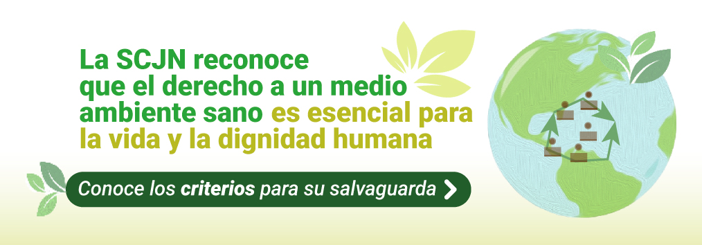 La SCJN reconoce que el derecho a un medio ambiente sano