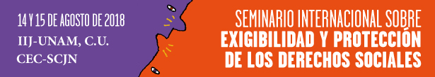 Seminario Internacional sobre la Exigibilidad y Protección de los Derechos Sociales