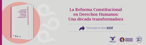 Descarga el libro 'La Reforma Constitucional en Derechos Humanos: Una década transformadora'