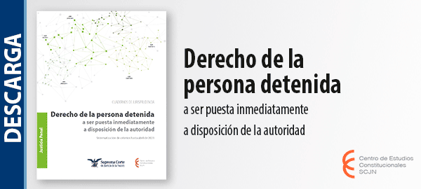 Descarga el libro 'Derecho de la persona detenida a ser puesta inmediatamente a disposición de la autoridad'.