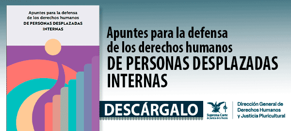 Descarga el libro  Apuntes para la defensa de los derechos humanos de personas desplazadas internas'.