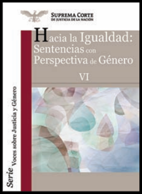 Hacia la igualdad: sentencias con perspectiva de género VI